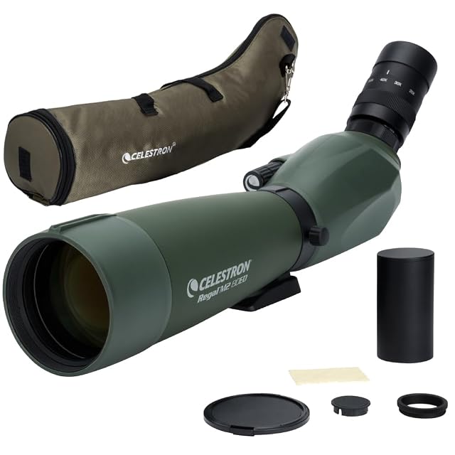 Longue-vue Celestron Regal M2 20-60×80 ED verte